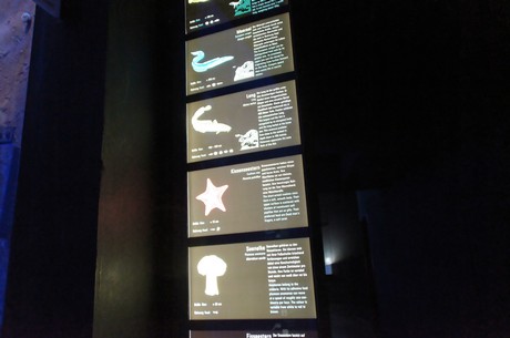 stralsund-ozeaneum