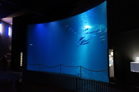 stralsund-ozeaneum