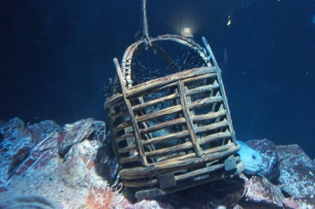 stralsund-ozeaneum