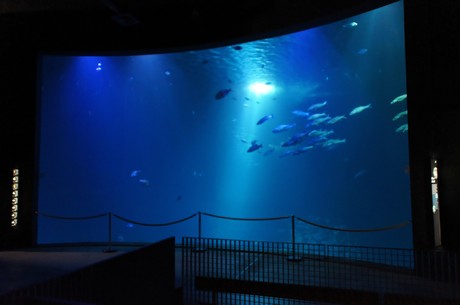 stralsund-ozeaneum