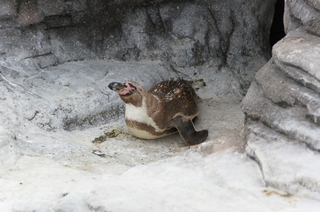 stralsund-ozeaneum