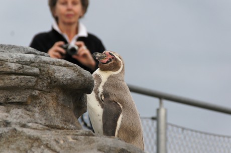 stralsund-ozeaneum