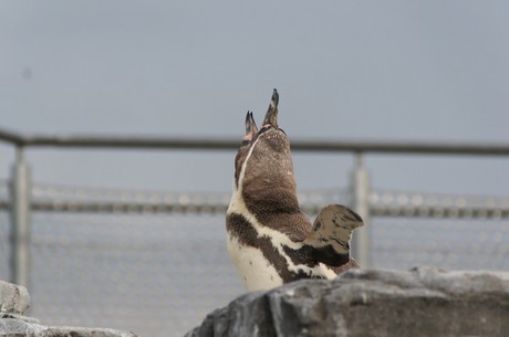 stralsund-ozeaneum