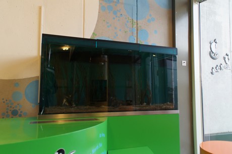 stralsund-ozeaneum