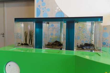 stralsund-ozeaneum