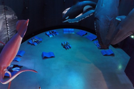stralsund-ozeaneum