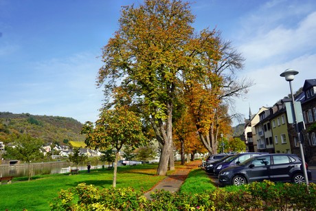 Treis-Karden