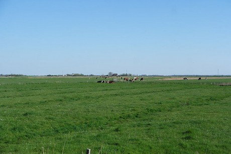 tetenbuell