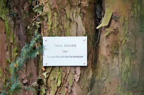 palastgarten
