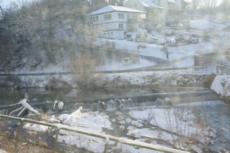 trier