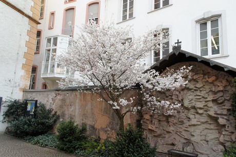 marktkirche-St-Gangolf