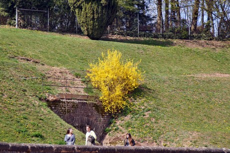 trier-stadtrundfahrt