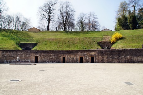 trier-stadtrundfahrt