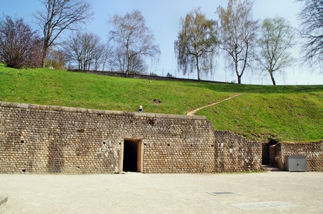 trier-stadtrundfahrt