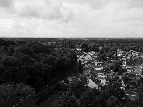 tuernich