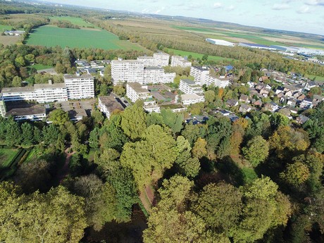 tuernich