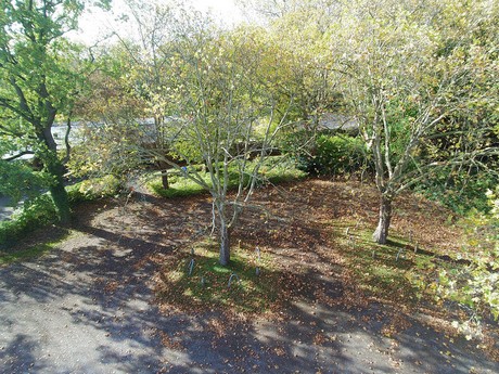 tuernich