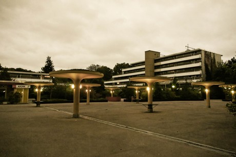 tuernich