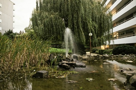 tuernich