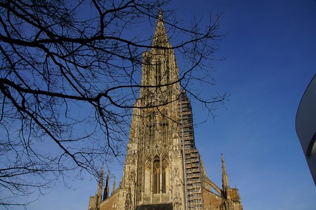 ulm