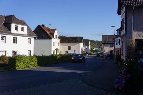 Ulmen