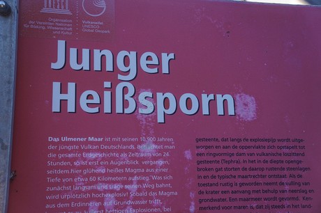 Ulmen