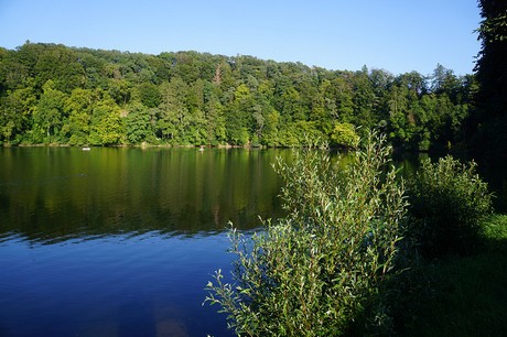 Ulmen