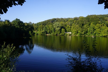 Ulmen