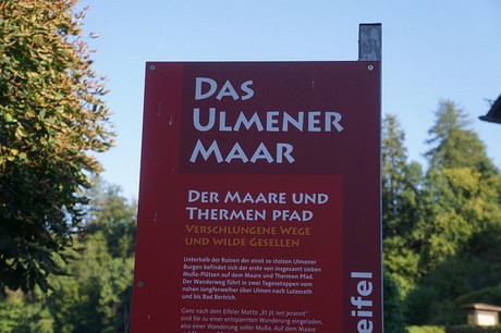 Ulmen