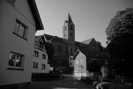 Ulmen