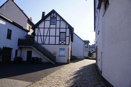 Ulmen