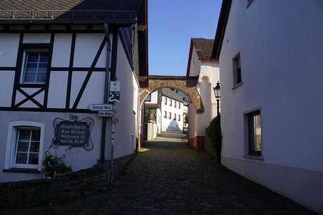 Ulmen