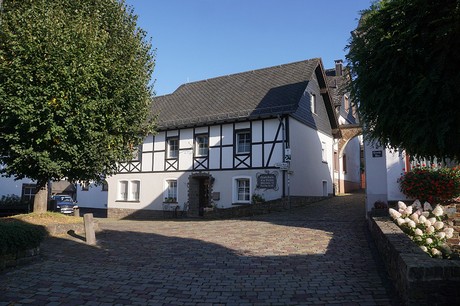 Ulmen