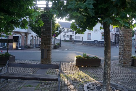Ulmen