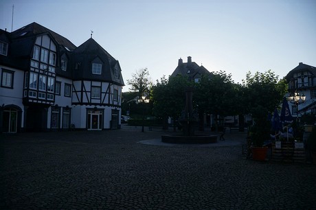 Ulmen