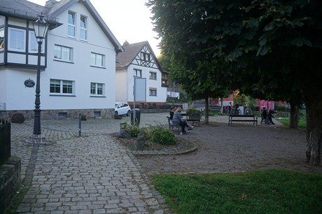 Ulmen