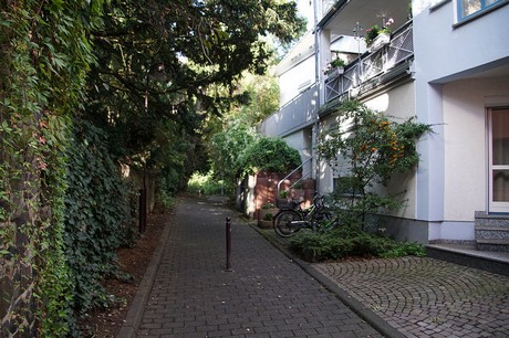 unkel