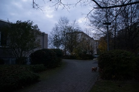 urbach