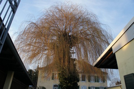 urfeld