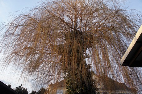 urfeld