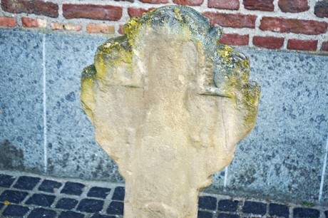 Vernich
