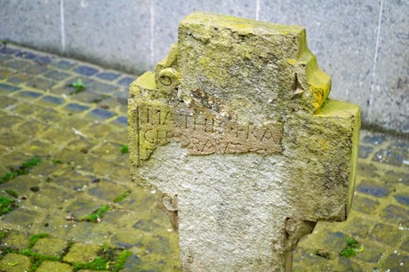 Vernich