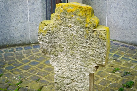 Vernich
