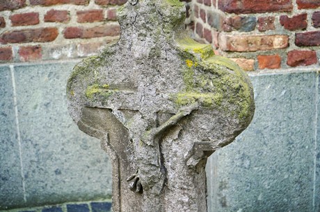 Vernich