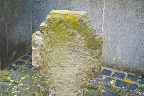 Vernich