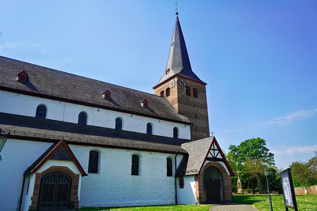 Vernich