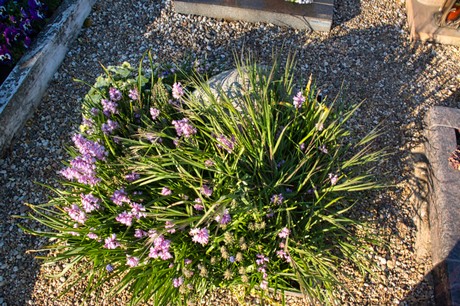 Vettweiss