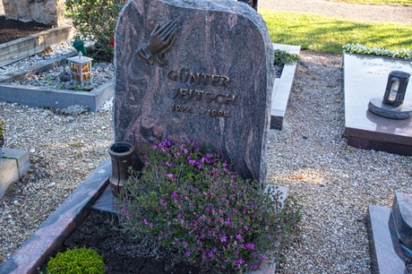 Vettweiss