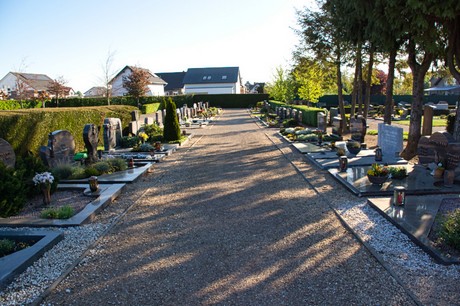 Vettweiss