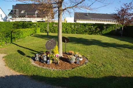 Vettweiss